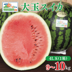 【先行予約】茨城県産大玉スイカ4Lサイズ（9～10kg）【茨城県 阿見町 スイカ 1玉 すいか 西瓜 果物 くだもの フルーツ 国産 甘い 送料無料】（04-26）