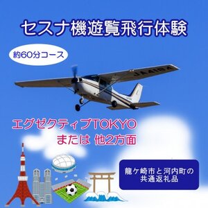 [ペア]セスナ機遊覧飛行体験[約60分コース](フライトN・O・P) 龍ケ崎市と河内町の共通返礼品[配送不可地域:離島・沖縄県]