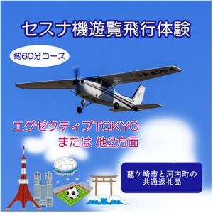 [3名]セスナ機遊覧飛行体験[約60分コース](フライトN・O・P)[配送不可地域:離島・沖縄県]