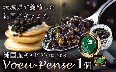 キャビア 純国産キャビア Voeu-Pense 1個 [12月中旬頃出荷]キャビアフィッシュカンパニー 高級 チョウザメ クラッカー バゲット パスタ 茨城県 河内町