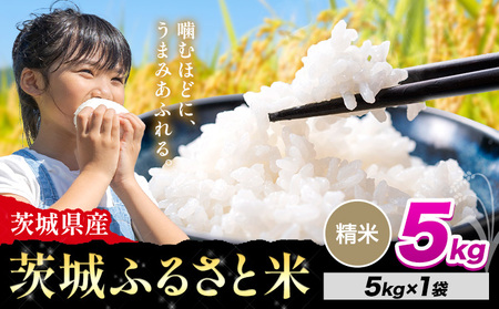 米 茨城 ふるさと米 精米 5kg[8月下旬-9月末頃出荷] 米 お米 白米