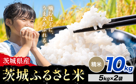   ӂ邳ƕ  10kgs8{-9oׁt  