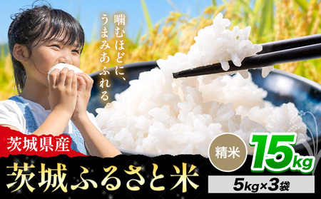   ӂ邳ƕ  15kgs8{-9oׁt  