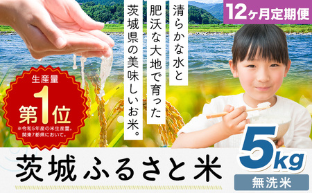 [12ヶ月定期便]米 茨城 ふるさと米 無洗米 5kg[申込月の翌月より出荷開始]茨城県 河内町 米 国産 お米 おこめ お弁当 おにぎり