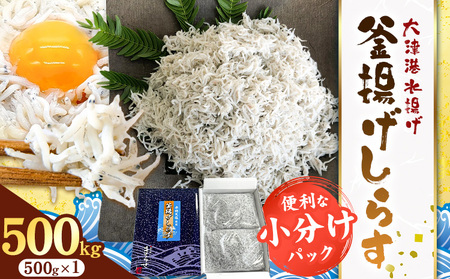 釜揚げしらす 小分け 大津港水揚げ しらす 500g (茨城県共通返礼品:北茨城市) 川崎水産有限会社 [30日以内に出荷予定(土日祝除く)]釜揚げ 小分けパック 減塩 茨城県 河内町[配送不可地域あり](沖縄・離島)
