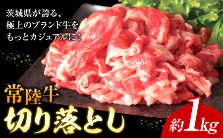 常陸牛 切り落とし 500g × 2パック 1kg (茨城県共通返礼品:茨城県産) ワークミート[30日以内に出荷予定(土日祝除く)]茨城県 河内町 常陸牛 和牛 切り落とし 焼肉 牛丼 肉じゃが 牛肉 牛 1000g