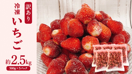 [ 訳あり ] 冷凍 いちご 約2.5kg ( 500g × 5パック ) イチゴ 苺 アイス 冷たい 旬 凍眠 小分け 新鮮 お得 品種ランダム [AU069ya]