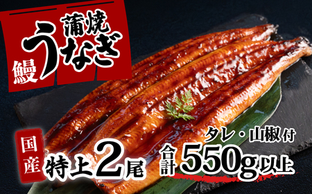 特上 国産うなぎ 蒲焼 2尾セット 【合計550g以上】 タレ・山椒付 ウナギ 鰻 うな重 ひつまぶし 人気 茨城 八千代町 ふるさと納税 冷凍 [SF049ya]
