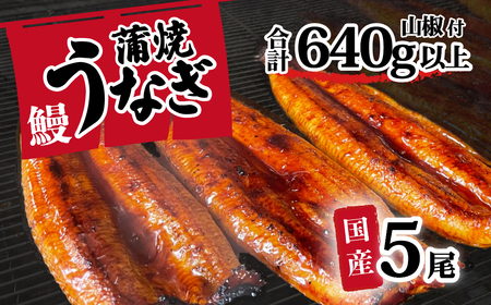 【 訳アリ 】 国産うなぎ 蒲焼き 5尾 セット ( 640g 以上) 大きさ の不揃い 山椒付き ウナギ 鰻 ふぞろい 不揃い うな重 ひつまぶし 人気 茨城 八千代町 ふるさと納税 冷凍 [SF109ya]