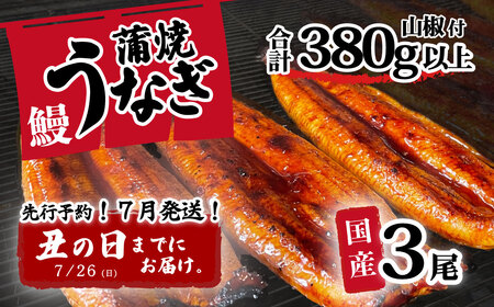 【土用の丑の日お届け】 国産 うなぎ 蒲焼き 3尾 380g以上 訳あり ウなぎ