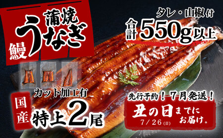 【土用の丑の日お届け】 国産 特上うなぎ 蒲焼き 2尾カット 6枚 550g以上