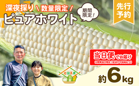とうもろこし ピュアホワイト 6kg 茨城県産 トウモロコシ 深夜採り 当日便