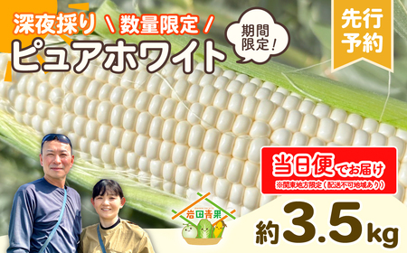 とうもろこし ピュアホワイト 3.5kg 茨城県産 トウモロコシ 深夜採り 当日便