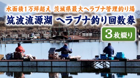 }g΃wuiނ񐔌iRԂj@[AZ002ya]