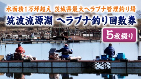 }g΃wuiނ񐔌iTԂj@[AZ003ya]