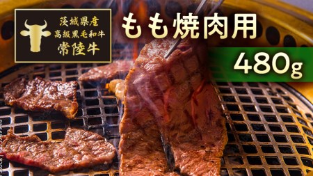 茨城県産高級黒毛和牛「常陸牛」 もも焼肉用 480g [AI009ya]