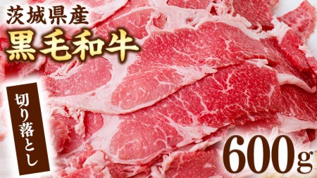 錧Y јa ؂藎Ƃ  600g [AI011ya]