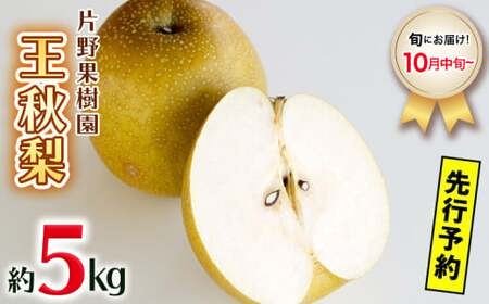 王秋梨 約5kg 10月中旬発送 梨 梨 梨 梨 梨 梨 梨