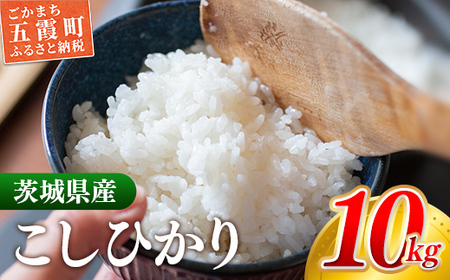 [新米発送]☆令和6年産☆『こしひかり』 精米10kg(5kg×2袋) 出荷日に合わせて精米[2024年9月上旬より発送開始]コシヒカリ 人気 銘柄 茨城県産 お好み 選択 家計応援 家庭用 茨城県 五霞町[価格改定]