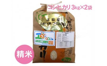 ܉Y܂ăRVqJiāj6kg ^ ߘa7NY   Ђ 錧yiz