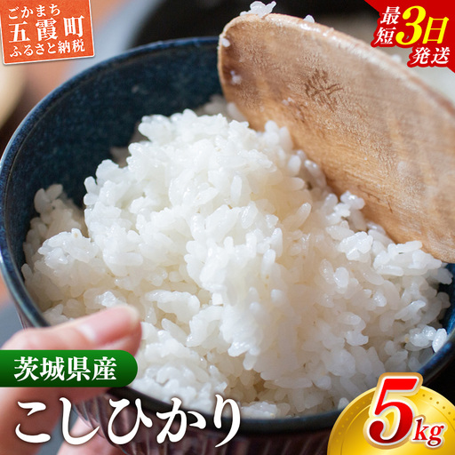新米 令和8年産 こしひかり 精米 5kg (5kg×1袋) コシヒカリ 中山産業