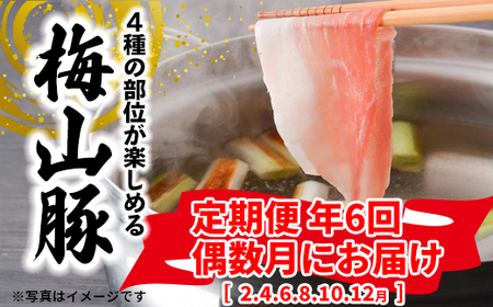 [6回定期便/偶数月発送] 塚原牧場 幻の豚 「梅山豚」 しゃぶしゃぶセット ブランド豚 メイシャントン 境町