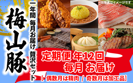 [12回毎月定期便]塚原牧場の幻の豚「梅山豚」の贅沢定期便 ブランド豚 メイシャントン 境町