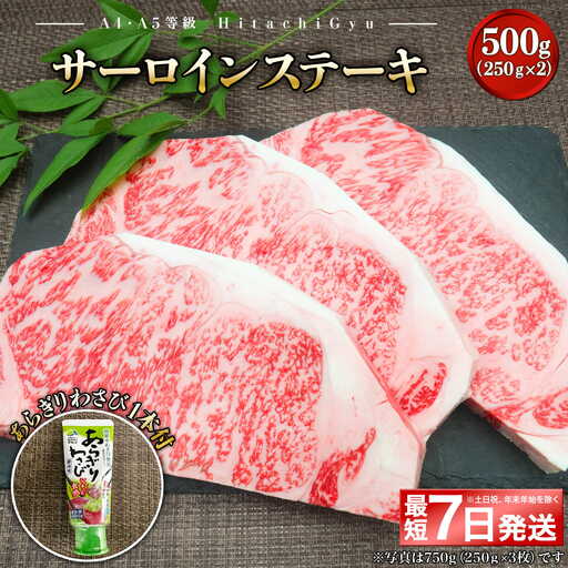 K2420 【最短7日発送】 常陸牛A5等級 サーロインステーキ500g (250g×2枚) あらぎりわさび1本付