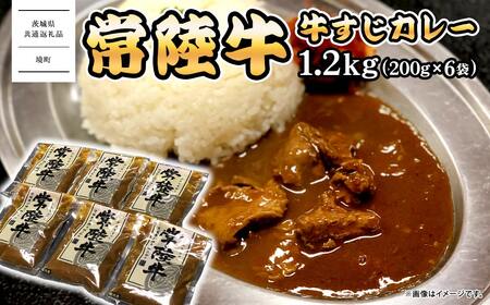 常陸牛すじカレー 1.2kg(200g×6袋) [茨城県共通返礼品][常陸牛 牛 牛すじ カレー スパイス レトルト 本格 贅沢 牛肉 カレーライス]