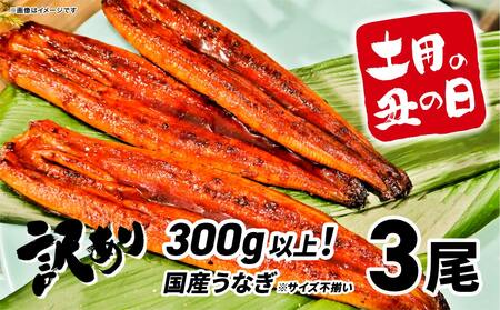 【土用の丑の日までにお届け(7月14日～18日発送)】 国産うなぎ3尾 計300g以上 数量限定 先行予約 さかい河岸水産 ※サイズ無選別 蒲焼き 鰻 ウナギ K1804
