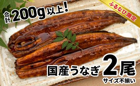 [ふるなびWEEK対象][7日以内発送!]お試し 訳あり 国産 うなぎ 2尾 200g以上 鰻 ウナギ K2629 FN-Limited