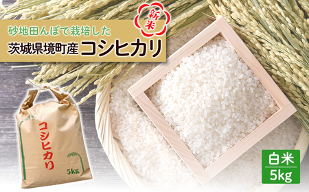 新米 / 白米 [50個限定] 令和7年産 茨城県 境町産 コシヒカリ 5kg 2025年産