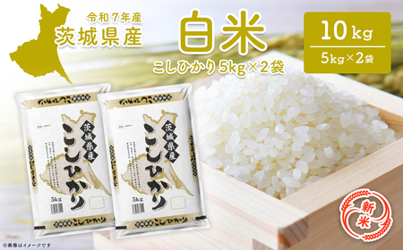 �y�V��/���āz��錧�Y �R�V�q�J�� 10kg �ߘa7�N12�������� �� K2654