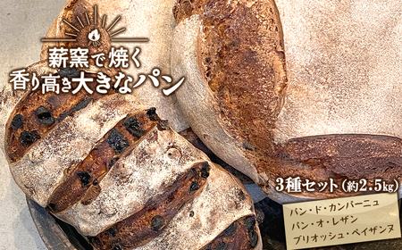 [薪窯焼き]香り高い大きなパン 3種セット ハード系 レーズン パン セット