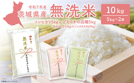 無洗米 令和8年3月内発送 茨城県産 コシヒカリ+ランダム 10kg 米