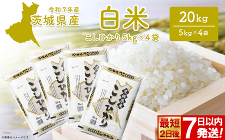 白米 こしひかり 20kg 最短発送 令和7年産 茨城県産 米