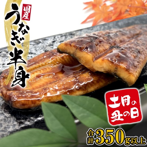 【丑の日】 うなぎ蒲焼 食べきり ハーフカット 6パック 国産 うなぎ K2669
