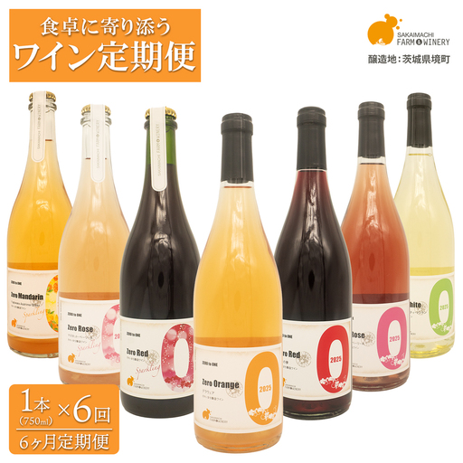 【6ヶ月定期便/毎月お届け】デイリーワイン 750ml×1本 K2709