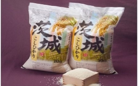 K1626＜2021年5月発送分＞【訳あり・コロナ支援品】令和2年産厳選茨城コシヒカリ20kg 白米 《沖縄・離島発送不可》