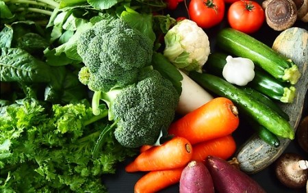 季節の野菜 「道の駅さかいオリジナル」駅⻑おすすめ野菜セット