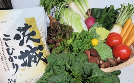 新鮮野菜を盛り沢山&茨城県産コシヒカリ5kgセット