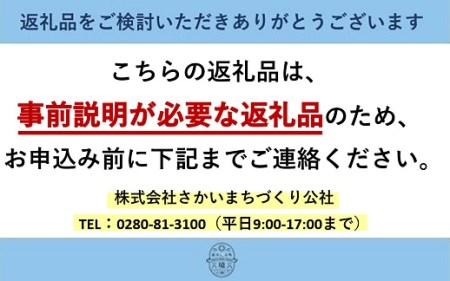 K1690 東京から車でわずか60分！英語漬け 境町留学プラン1泊2日（グループレッスン）