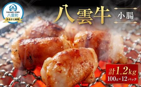 八雲牛 小腸 合計1.2kg (100g×12パック)| ホルモン ホルモン