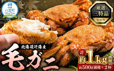 先行予約[厳選三特品]北海道近海産毛ガニ500g前後×2尾 2025年9月上旬発送開始予定[ 毛がに 北海道 かに 蟹 かにみそ 小分け 毛蟹 八雲 海産物 魚介類 水産物応援 水産物支援 ]
