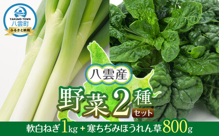[先行予約]八雲産軟白ねぎ1kg+寒ちぢみほうれん草800gセット(2025年12月中旬以降発送開始予定)