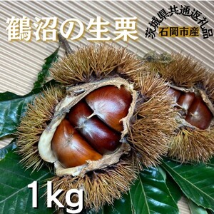 石岡鶴沼の生栗　1キログラム（茨城県共通返礼品・石岡市産）