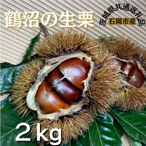 石岡鶴沼の生栗　2キログラム（茨城県共通返礼品・石岡市産）