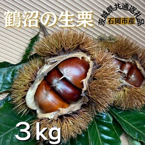 石岡鶴沼の生栗　3キログラム（茨城県共通返礼品・石岡市産）
