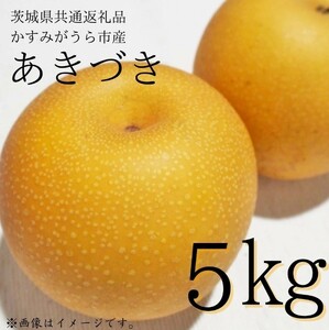 あきづき 5kg(茨城県共通返礼品・かすみがうら市産)