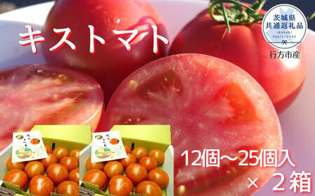 【2026年2月以降発送】キストマト約2kg　1箱(12個～25個入)×2（茨城県共通返礼品／行方市産） ／ キストマト トマト フルーツトマト 野菜